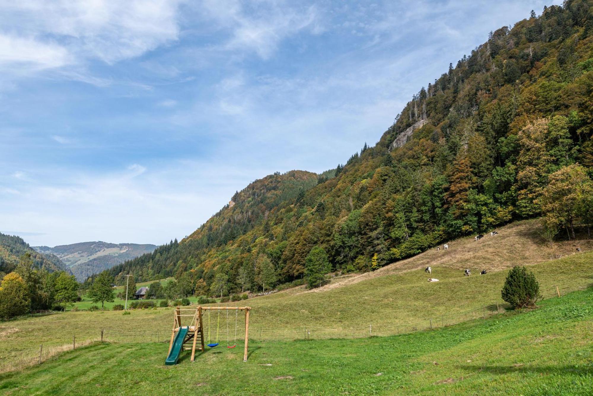 Gasthaus Zur Linde- Napf Oberried  Exterior foto