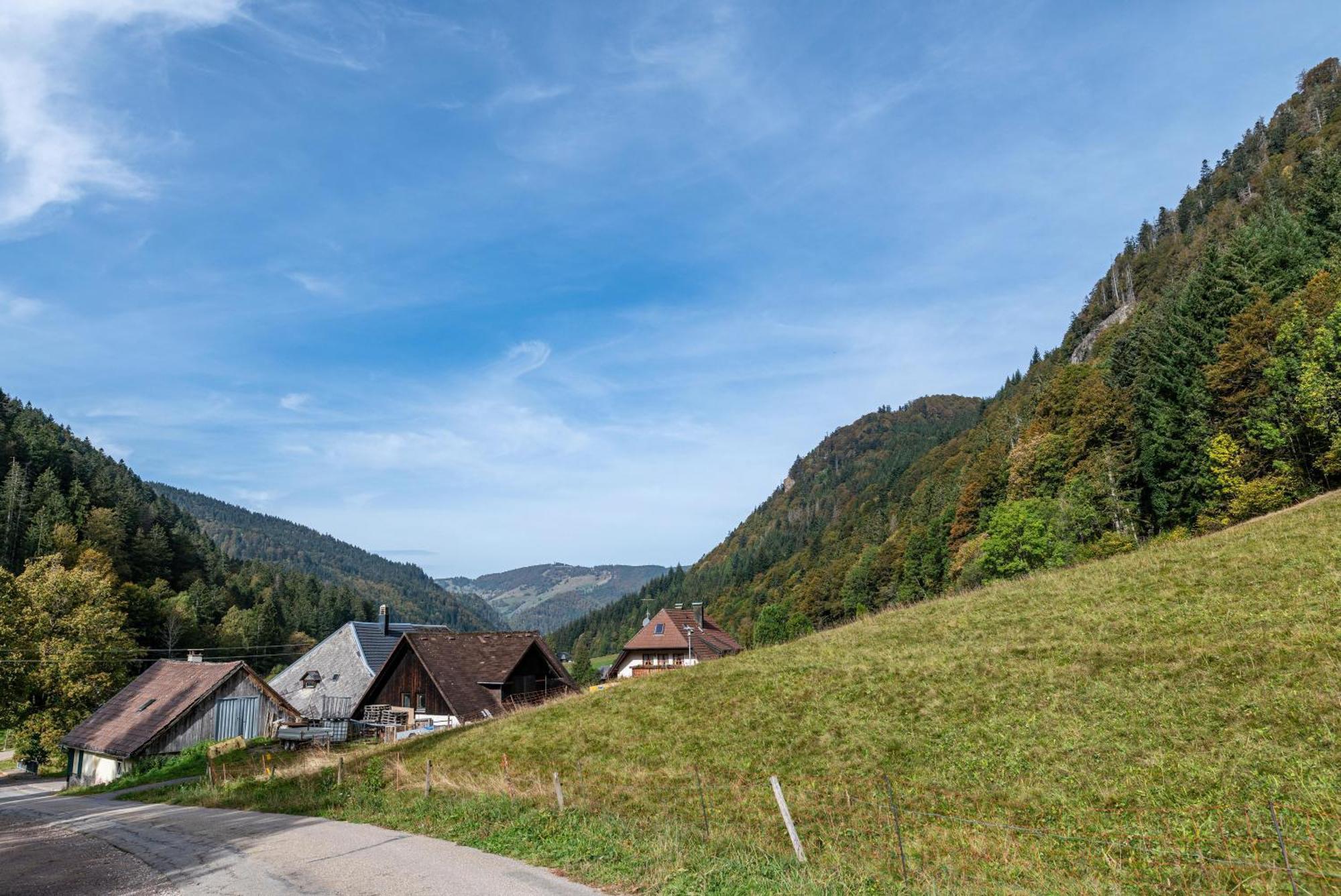 Gasthaus Zur Linde- Napf Oberried  Exterior foto